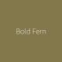 1x1 cm | Impermo Paint - Bold Fern 