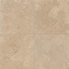 Pierre naturelle | 60x60 cm | Flanders Travertin Light